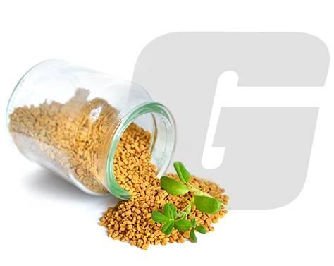 Conheça o Testofen da Growth Supplements